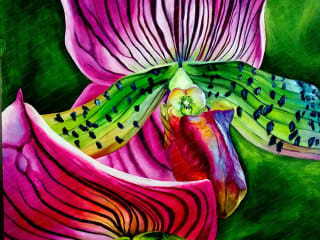 ORCHIDEA. 2015. Canvas Oil. 70x50 cm
