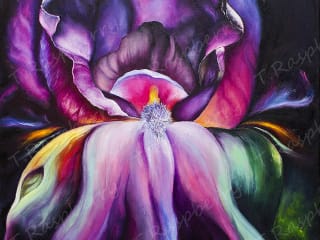 Iris. 2017. Oil on canvas. 70x50 cm