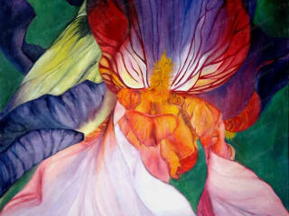 Iris. 2015. oil on canvas. 60x50 cm