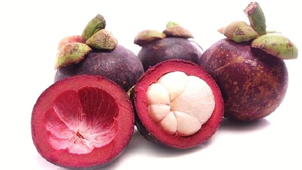 Obat Ngompol Dewasa Di Apotek