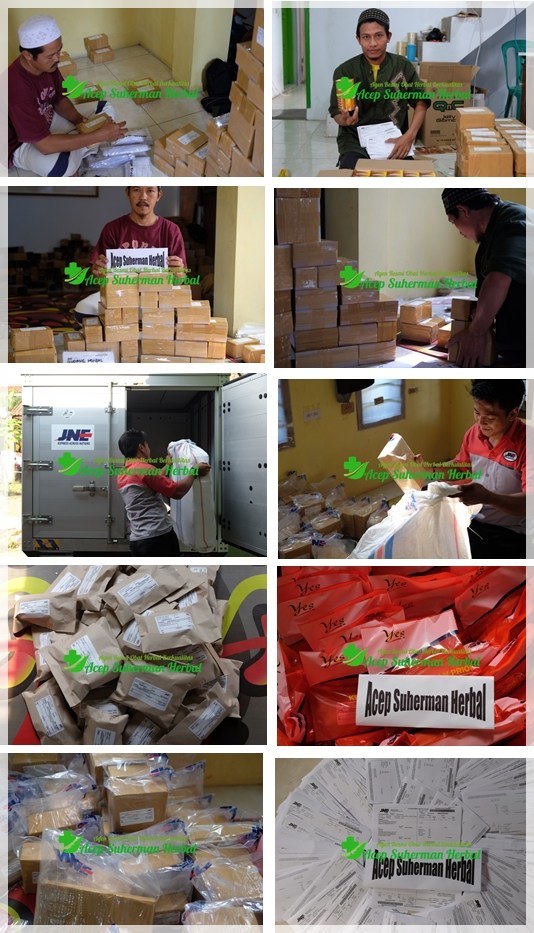 Obat herbal Pelangsing Tubuh Tanpa Efek Samping