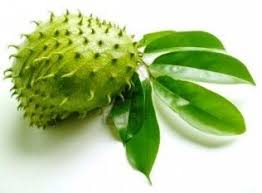 Obat Ngompol Dewasa Di Apotek