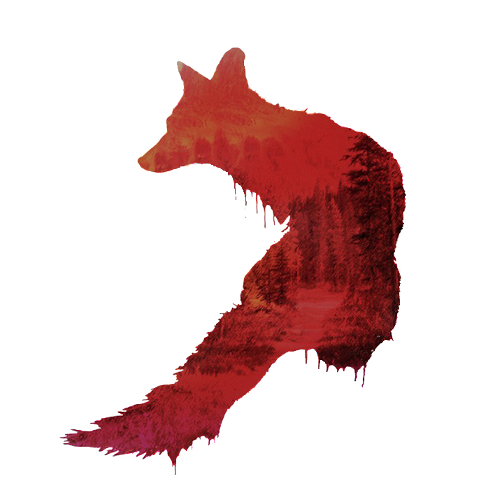 Foxify Logo
