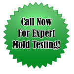 Eco Safe Mold Removal