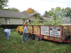 Fred and Son's- Yard Waste