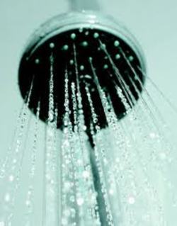 Patriot Plumbing Heating and Air Conditioning, Inc. - Showerhead