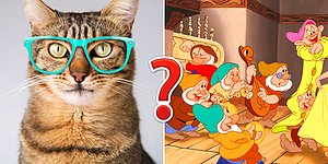 Тест, который проверит вашу эрудицию: где вы на шкале от 0 до 12?