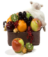 Simply Fruit & Plush Toy