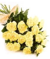 20 Yellow Carnations