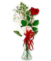 1 Red Rose Vase