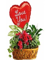 Plants Galore- W-ILY Mylar