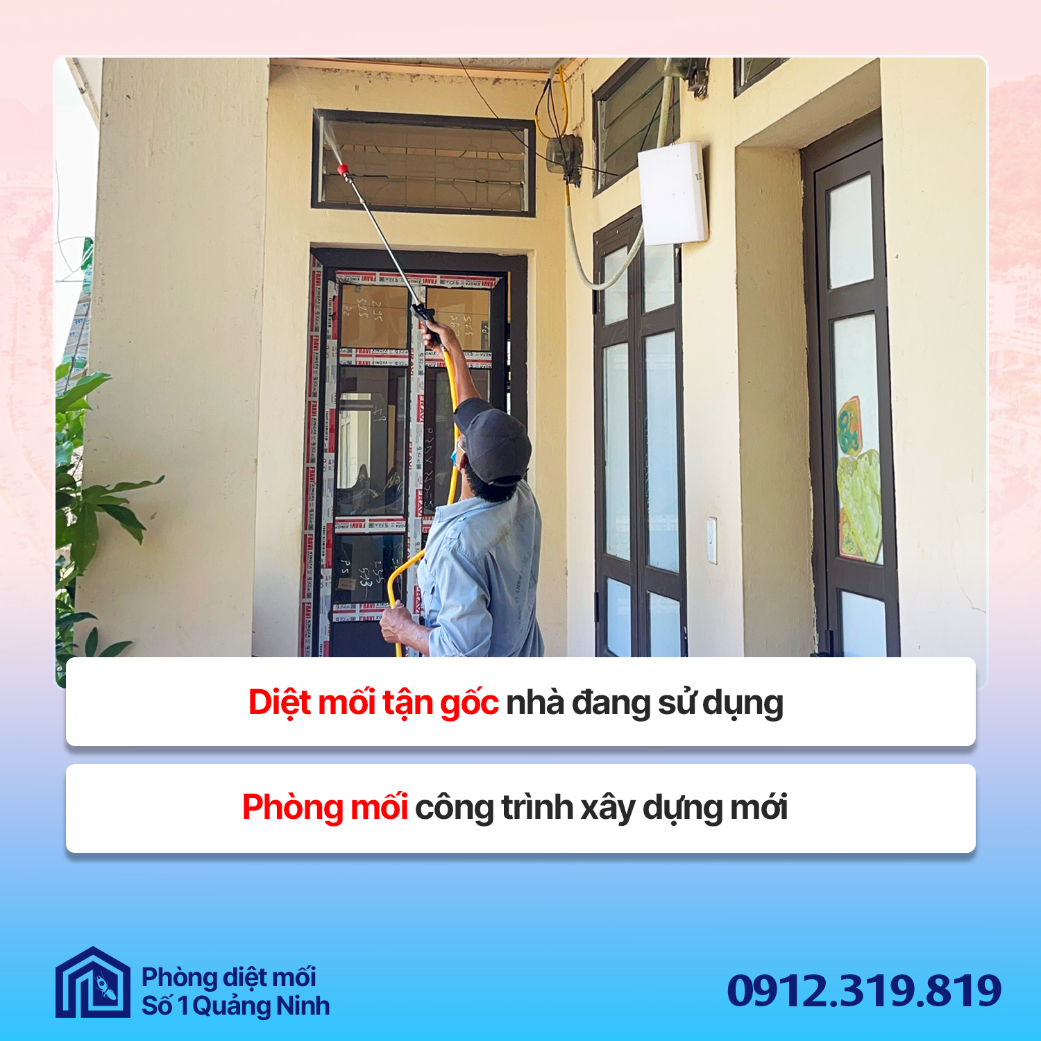 Diệt mối, phòng mối, diệt côn trùng hiệu quả uy tín tại Hạ Long