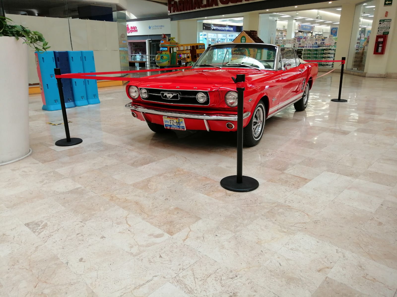 foto