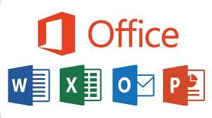 Microsoft Office Professionnel