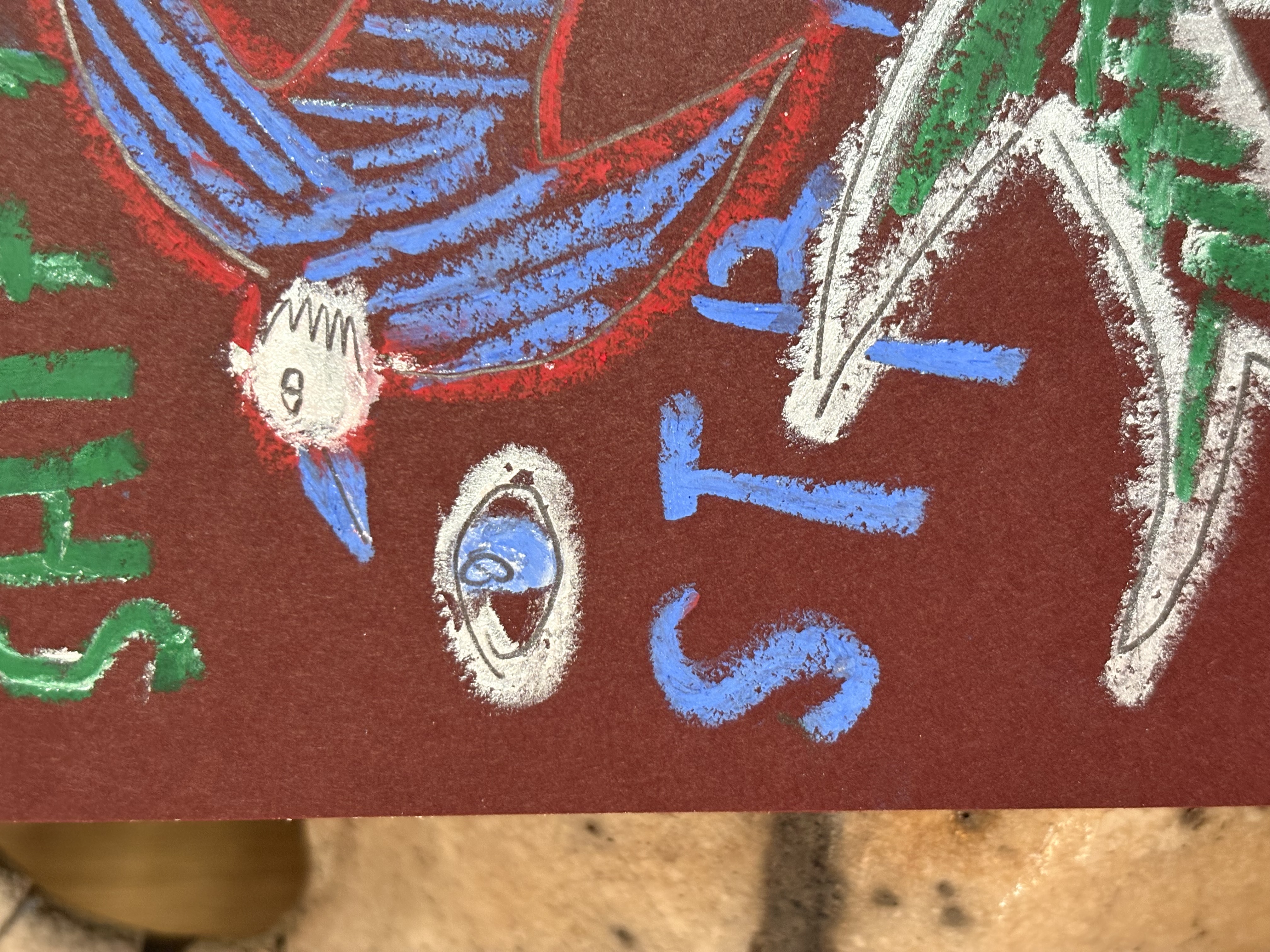 Bird