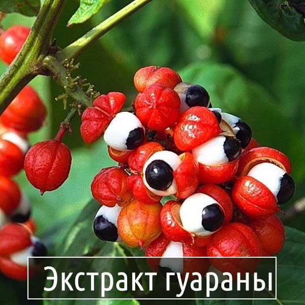 Экстракт гуараны