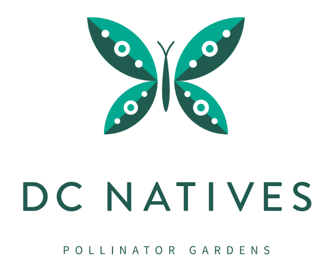 DC Natives logo