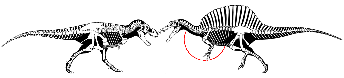 Тираннозавр против спинозавра