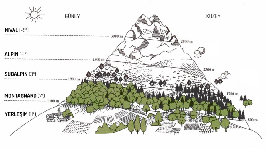 Alpin Zonun Enlemlere Göre Dağılımı