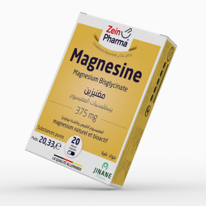 ZEINPHARMA Magnesine B/20 capsules