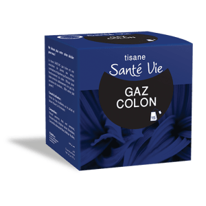Tisane Santé Vie Gaz / Colon B/15 infusettes