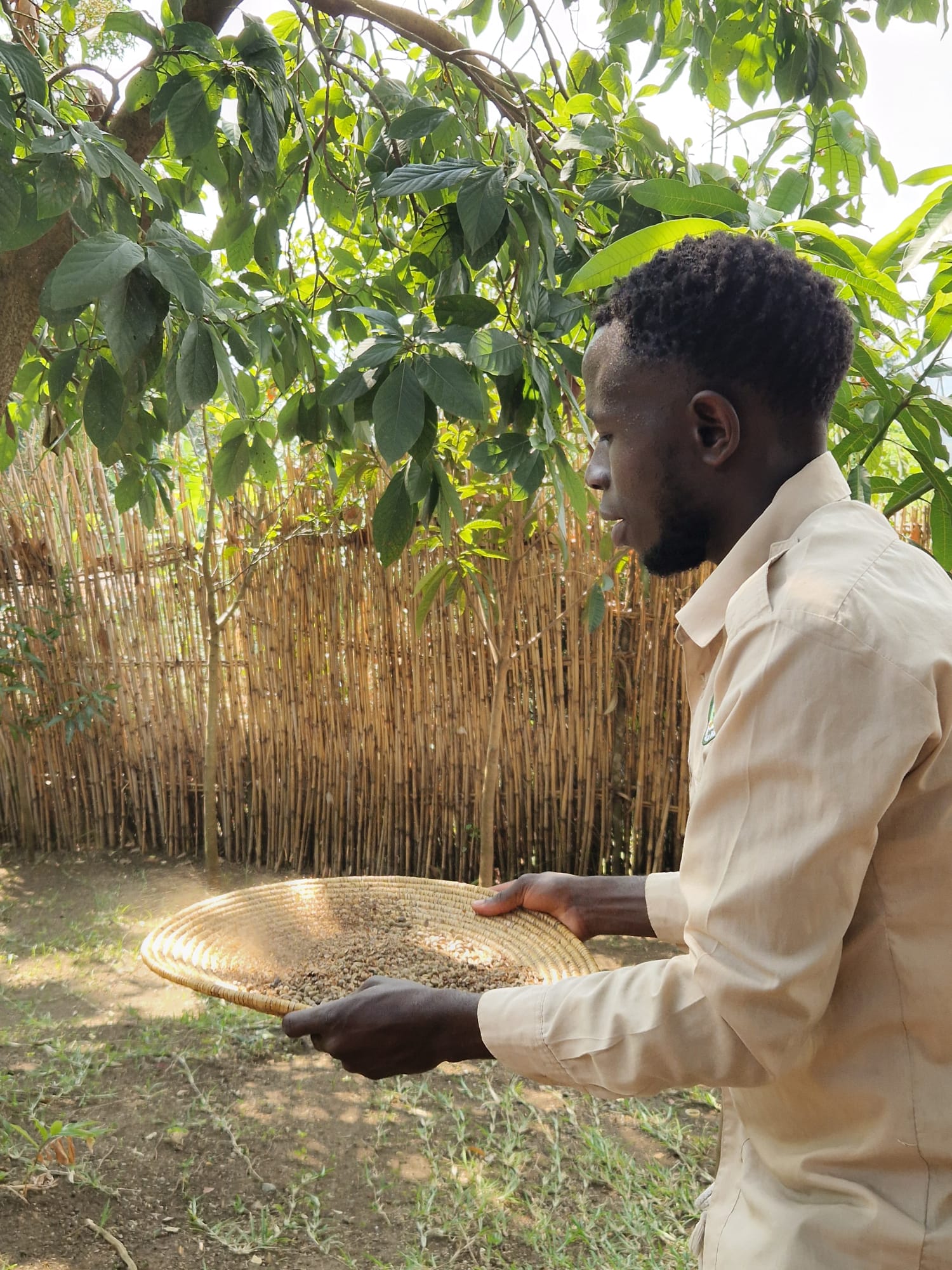 Processing the Harvest