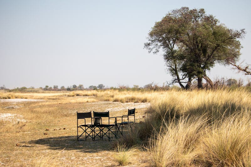 Wilderness Lounge