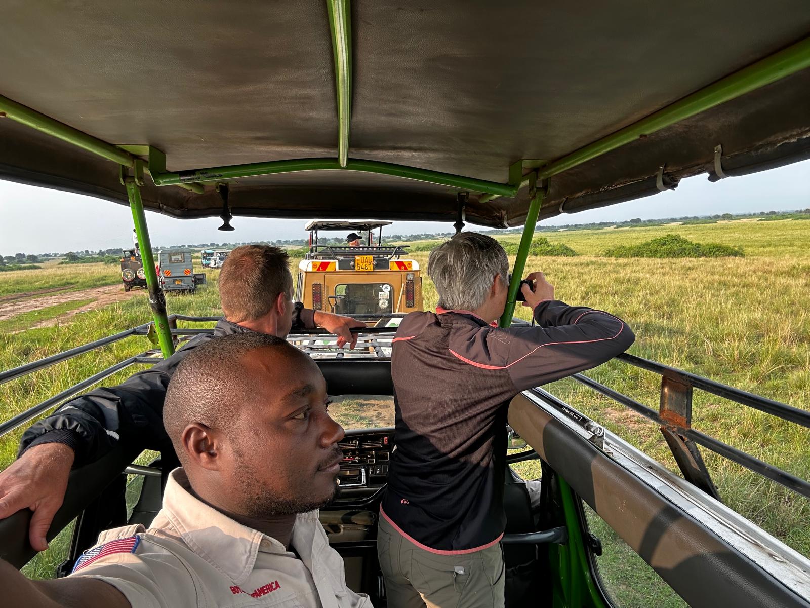 On the Safari Trail