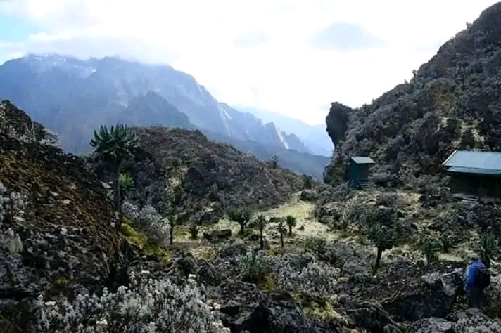 3-Day Rwenzori Nature Trek