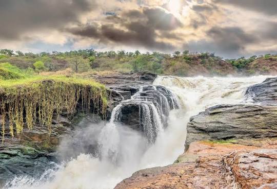 11-Day Gorilla, Chimpanzee & Big Five Safari
