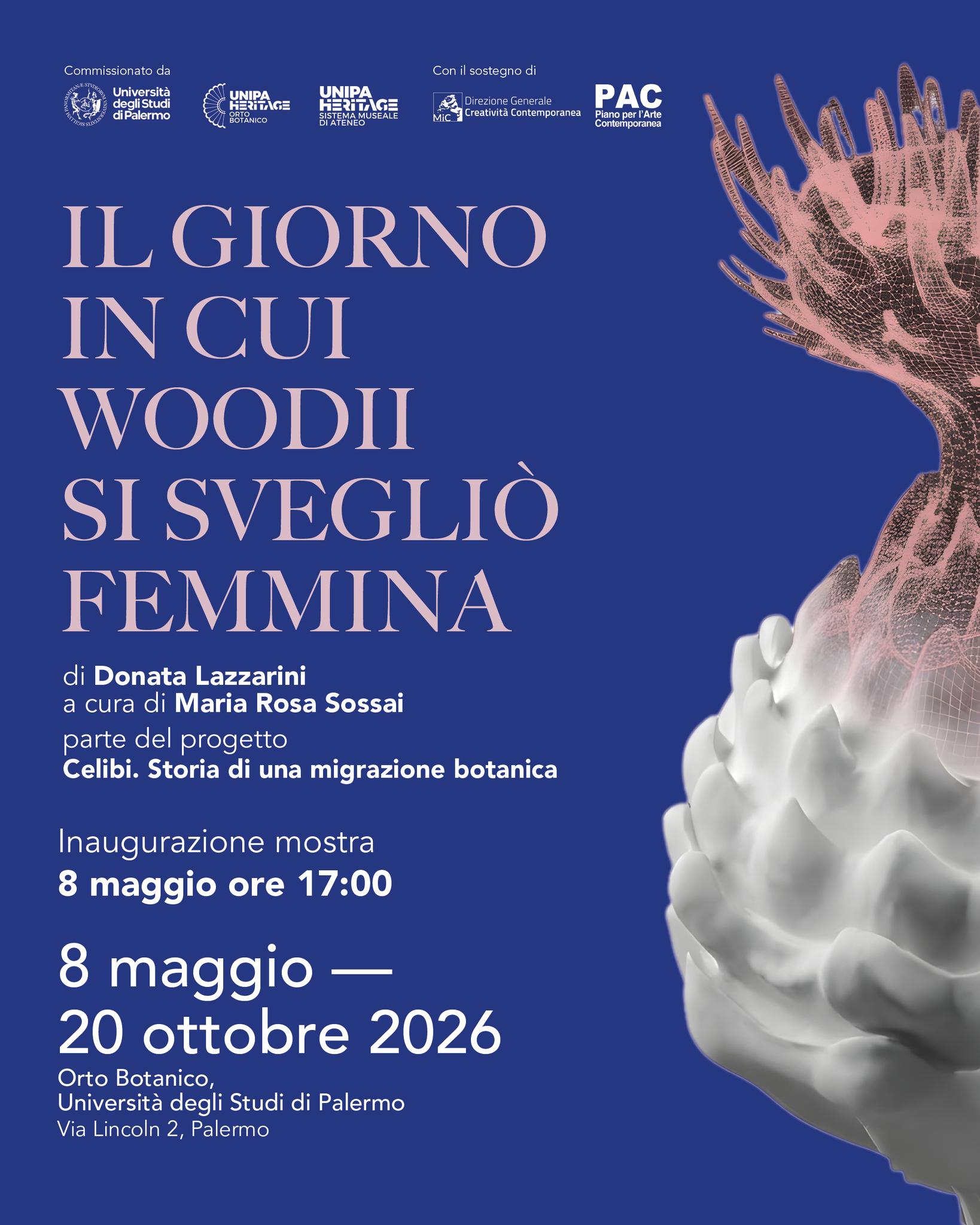 Il giorno in cui Woodii si svegliò femmina