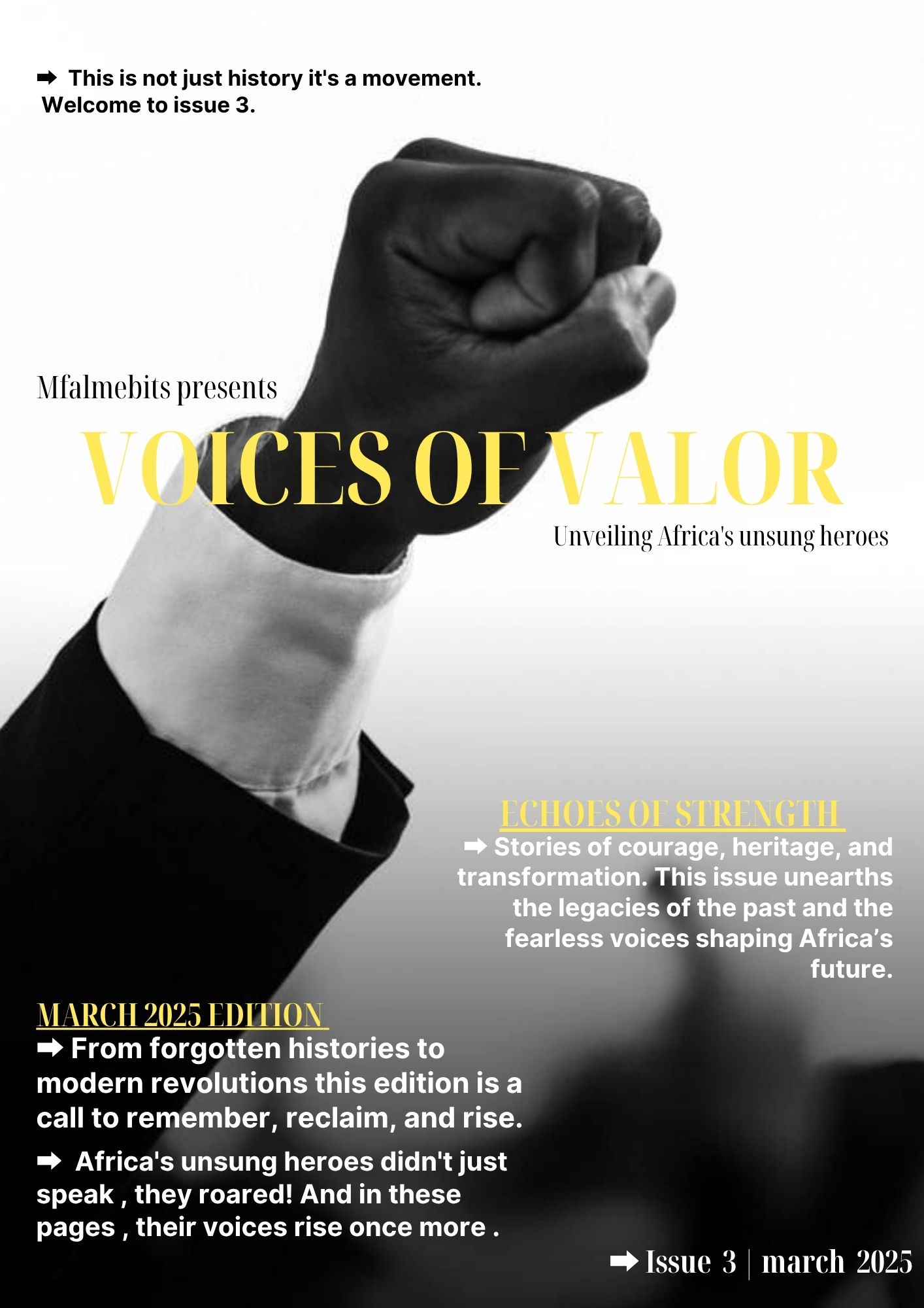 Voices of Valor issue 3 : panafricanism & Neocolonialism 