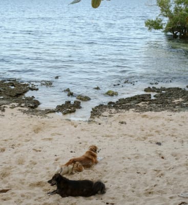 Double Room with Patio