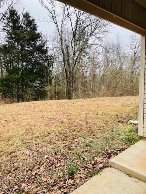 Image of 424B CR 202