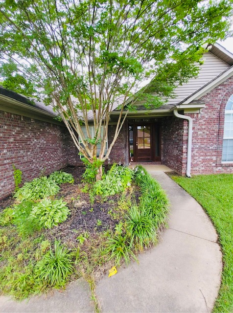Image of 216 Birch Tree Loop