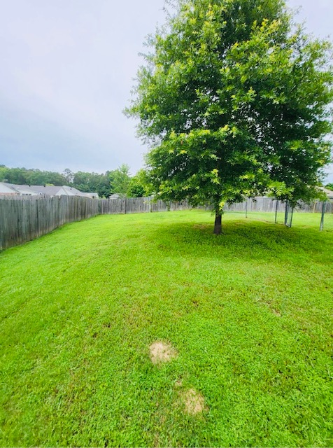 Image of 216 Birch Tree Loop
