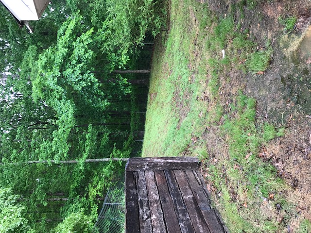Image of 614 Shiloh Drive