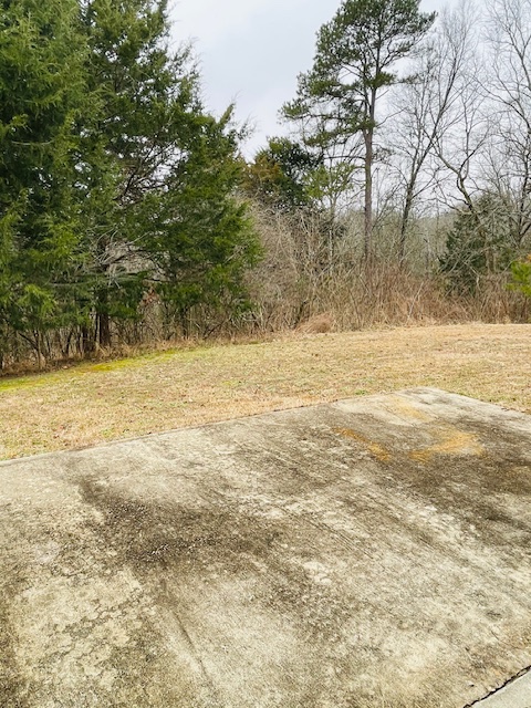 Image of 424A CR 202