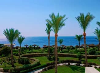 egypt palmy park