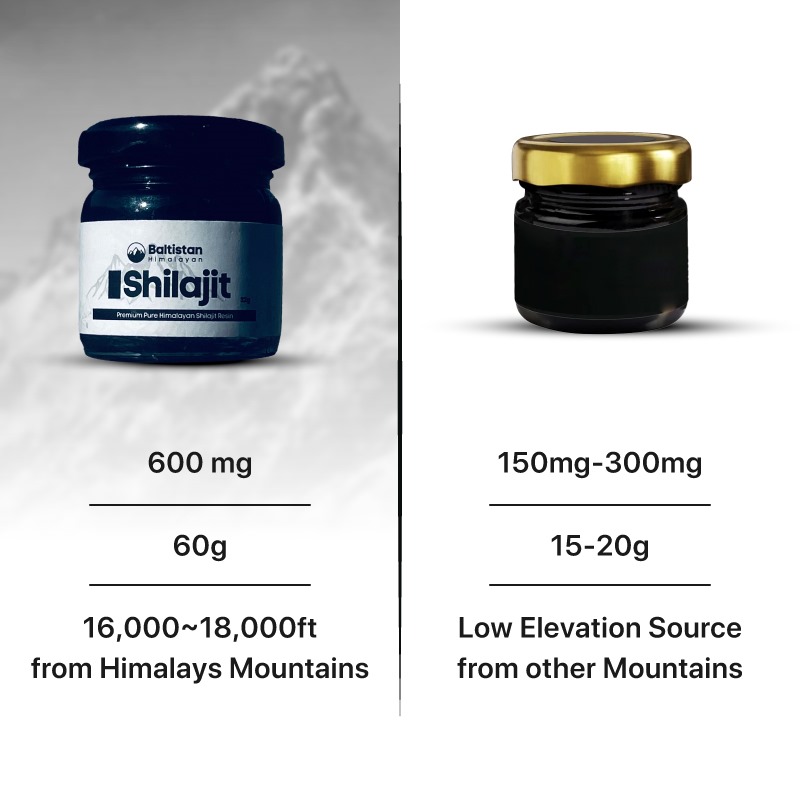 Baltistan Himalayan Shilajit Resin - Thumbnail 3