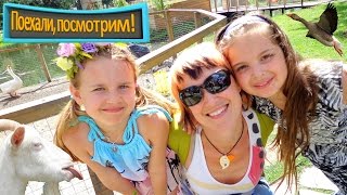 Комикс Соник бум ,,Любовь в песне''