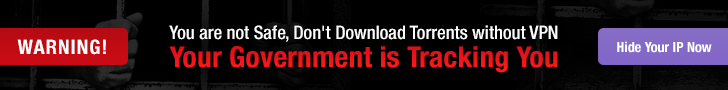 Cheap VPN For Torrents