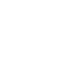 icon-0