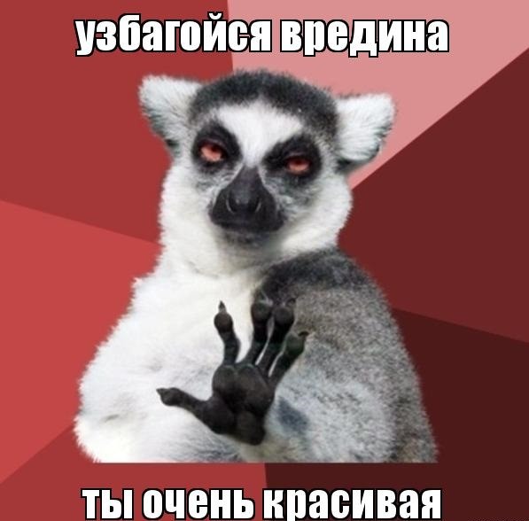 «»