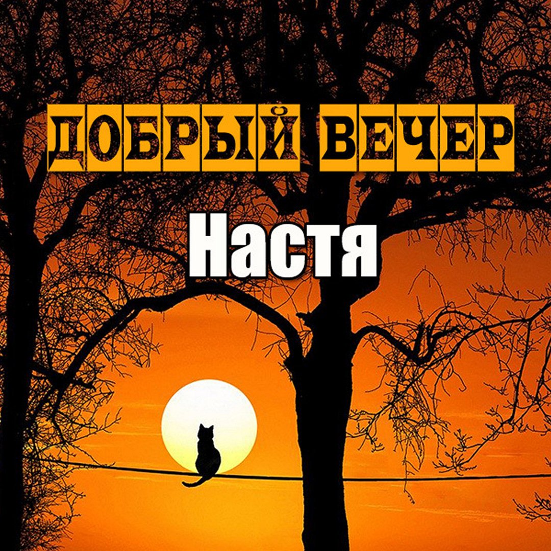 Картинка добрый вечер Настя