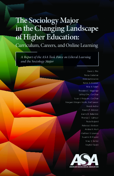 The sociology major in the changing landscape of higher educationCurriculum, careers, and online learning