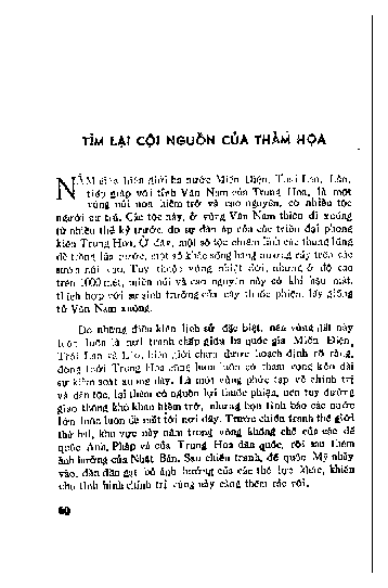 Tìm lại cuội nguồn của thảm họa