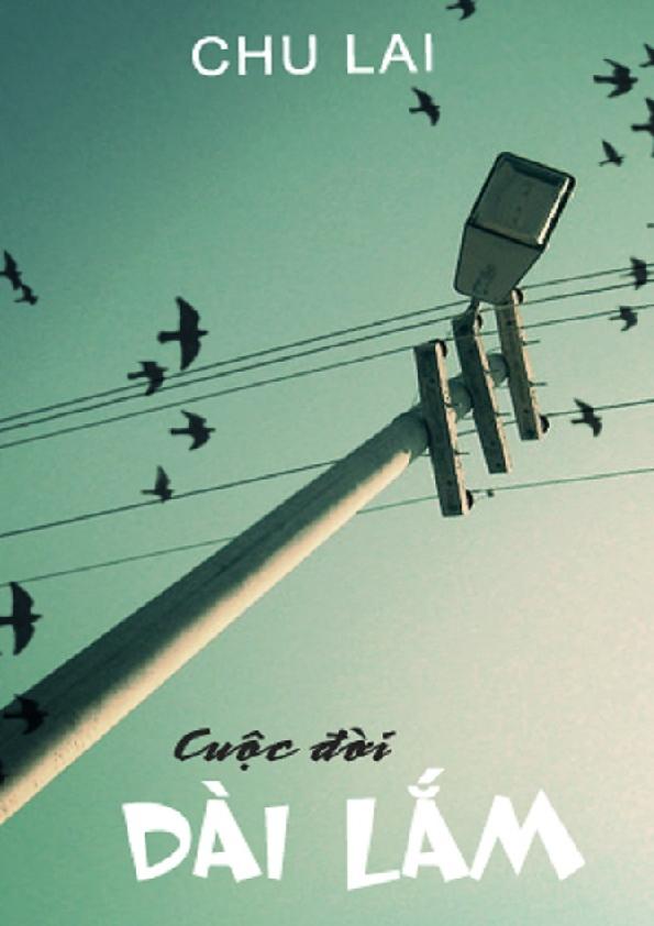 Cuộc đời dài lắm tiểu thuyết