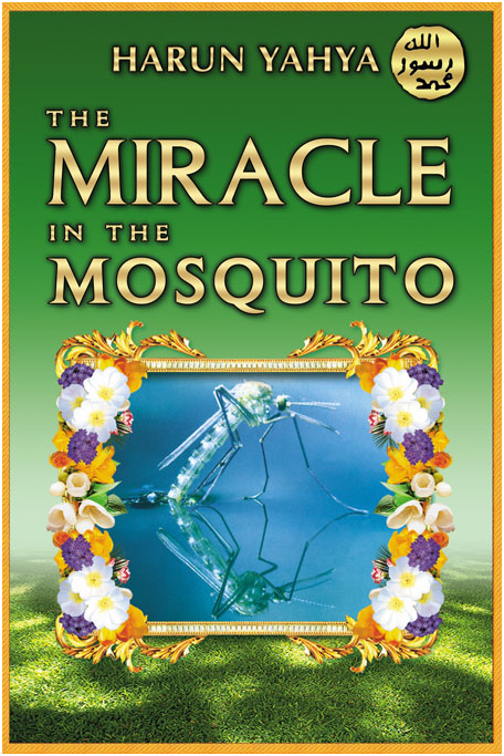 The Miracle in the mosquito