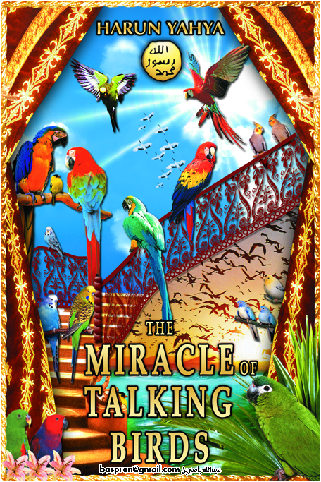 The Miracle of Talking Birds
